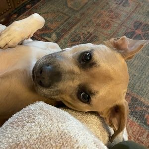 Meet your Posher, Mads